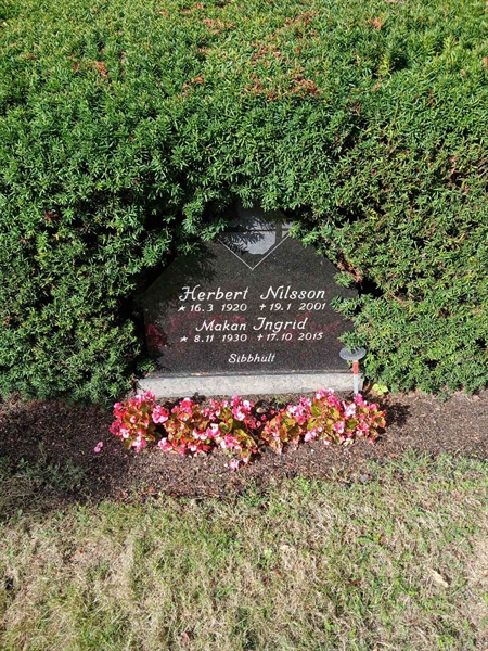 Gravnummer: ÖB 29   100, 101