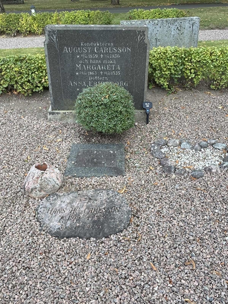 Grave number: 33 6   105
