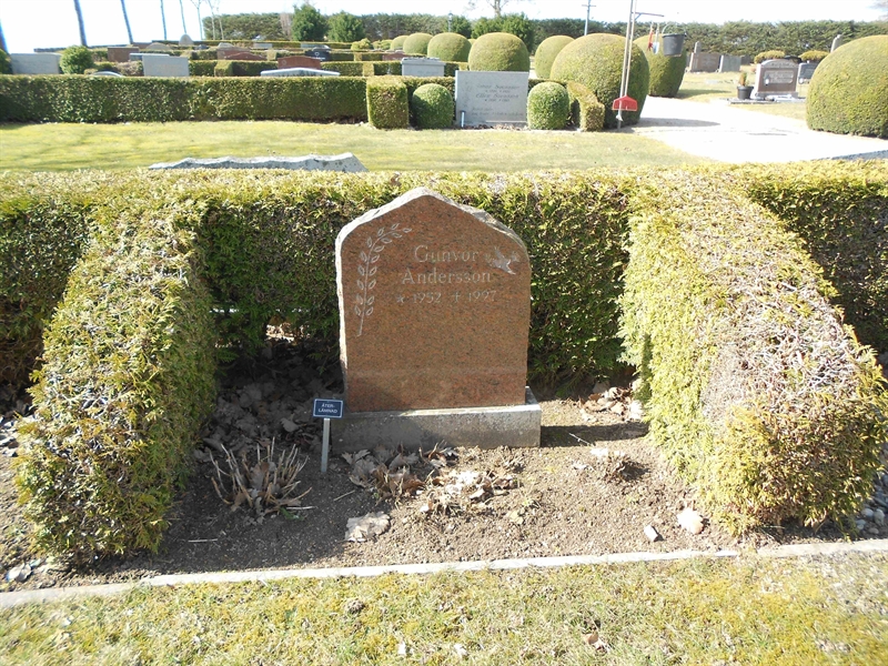 Grave number: V 36   203
