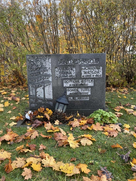 Hautatunnus: SR II    30, 31