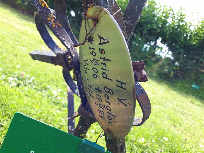 Hautatunnus: GK A 5   191V