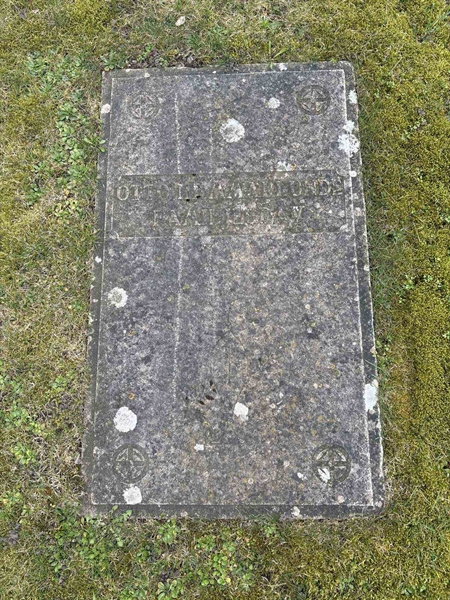 Gravnummer: LI   293