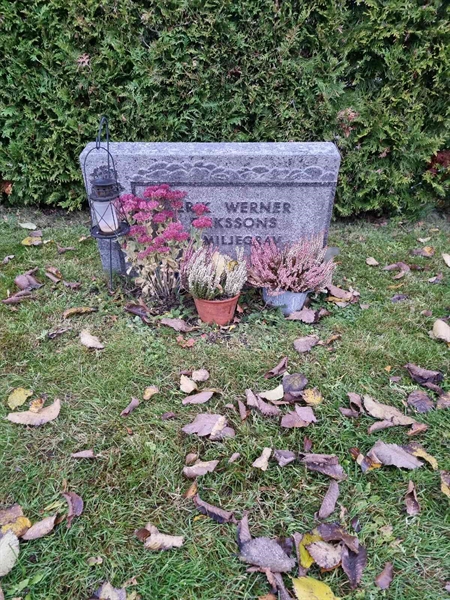 Grave number: 1 10   59