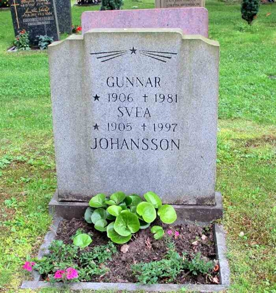 Grave number: SN J    41