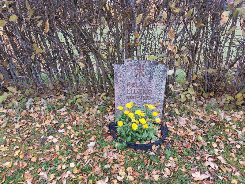 Grave number: NY H 273