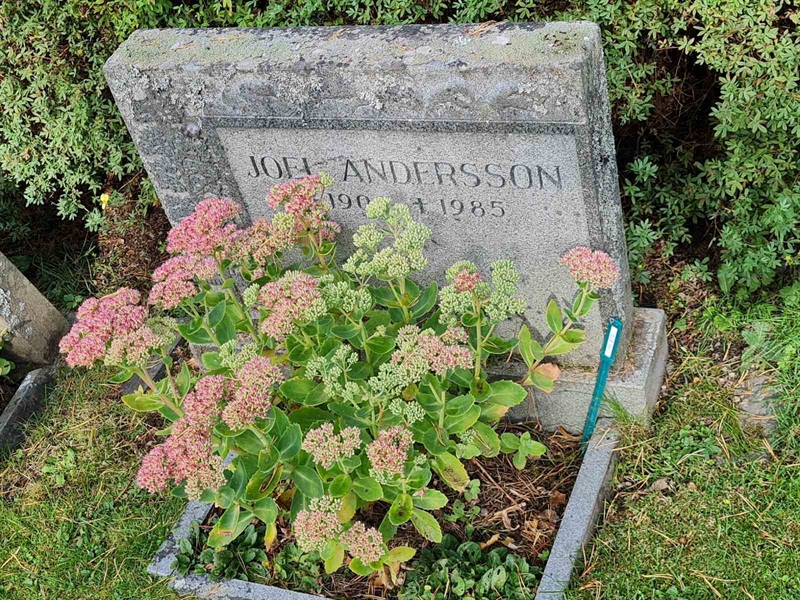 Grave number: Ö III   27C