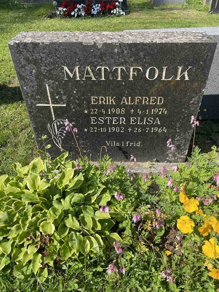 Hautatunnus: N 5 2   212