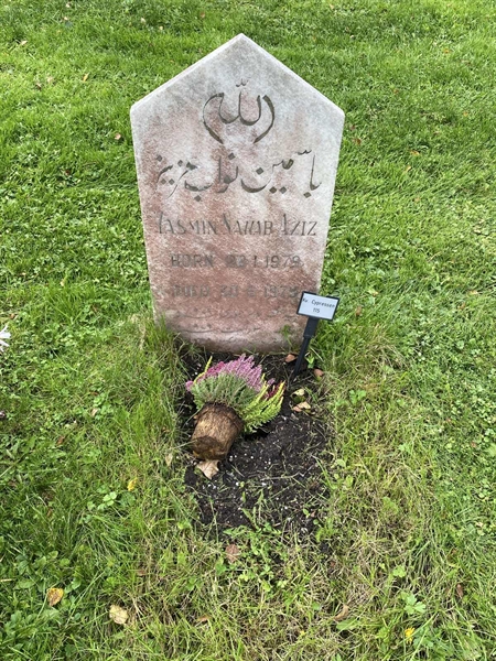 Hautatunnus: 2 C   115