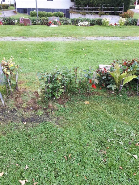 Gravnummer: NK F A    42