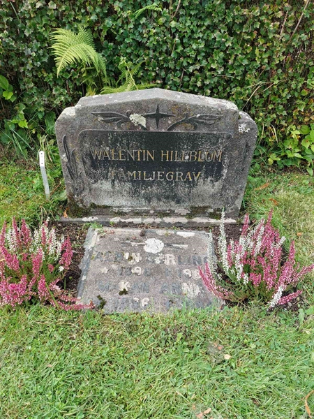 Hautatunnus: 1 D   118