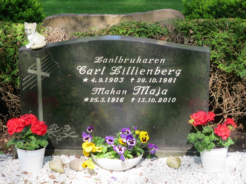 Grave number: HÖB 71   157