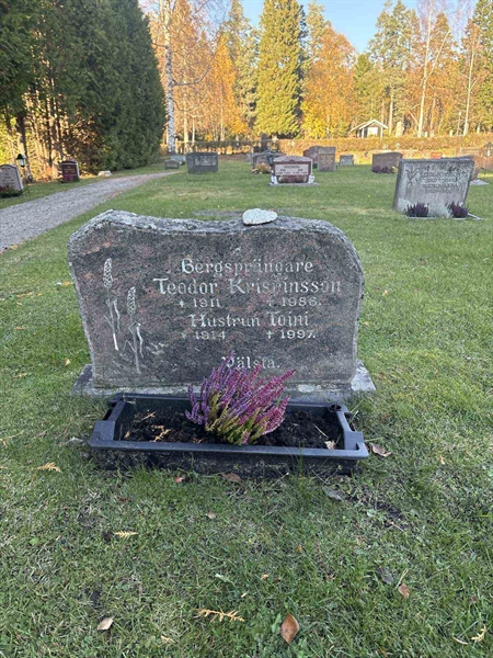 Hautatunnus: R 4   225-226