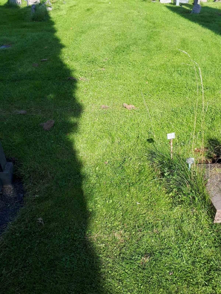 Gravnummer: NK A A   282