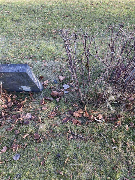 Gravnummer: GK A 3   614