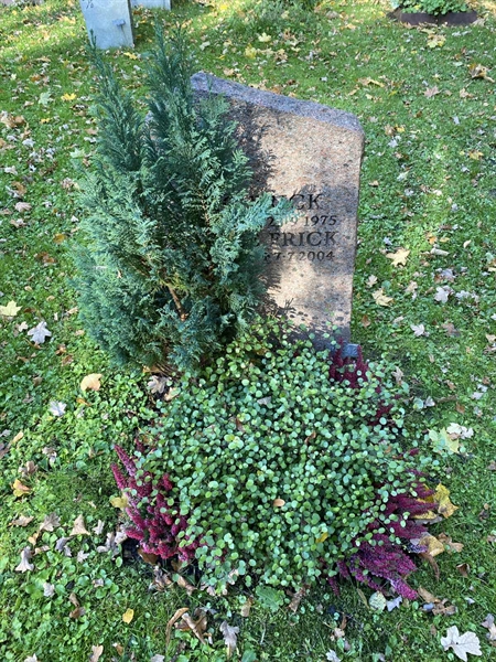 Grave number: 1 H   442