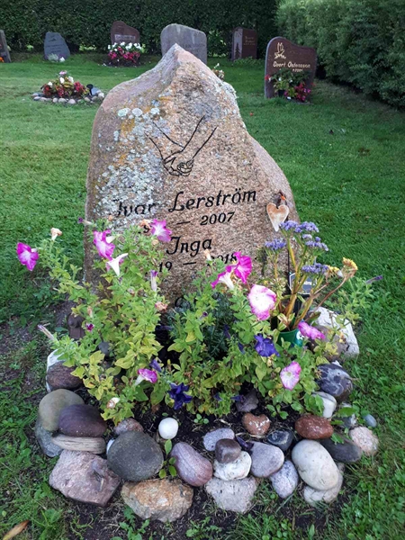 Hautatunnus: NK F D   479