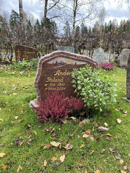 Grave number: 1 29     53