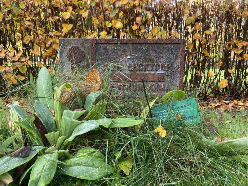 Grave number: 1 24     49