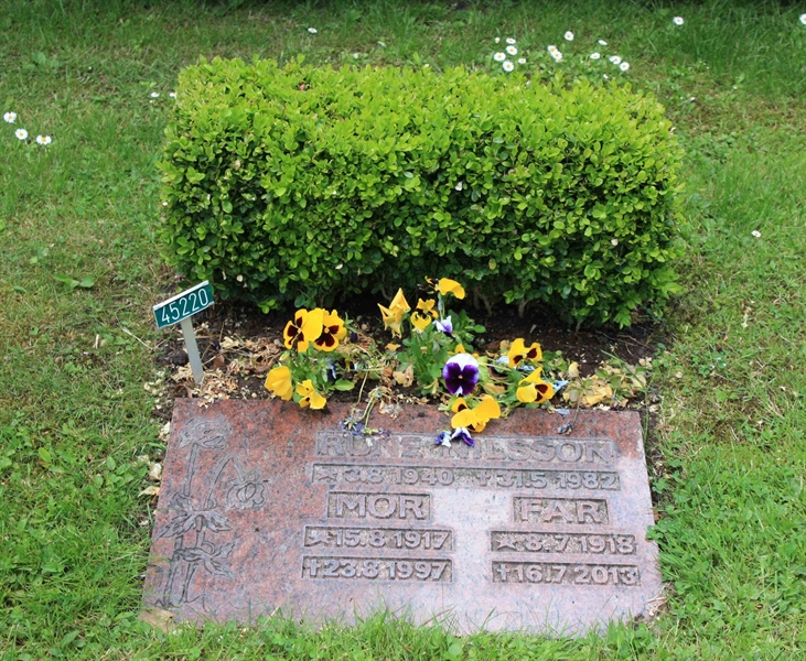 Grave number: Ö 45   220