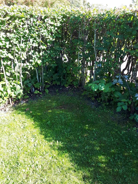 Grave number: NK F G    41