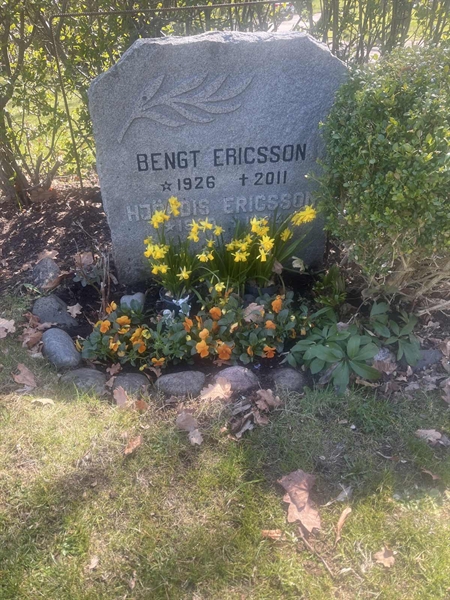 Grave number: 1 3 F1 146