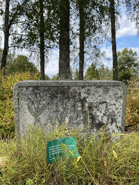 Hautatunnus: 1 19    254