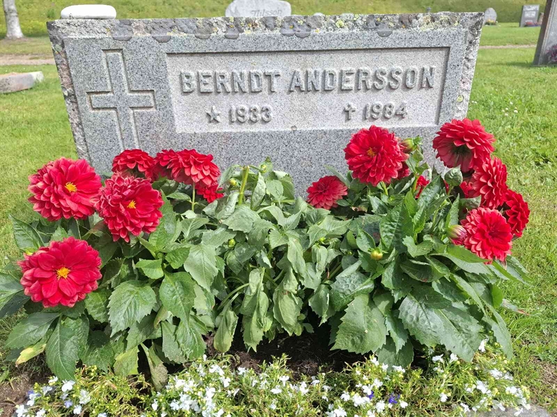 Grave number: 001 3  2145