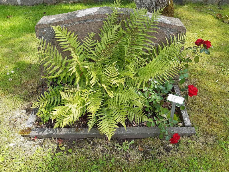 Grave number: Fr 1   608-609