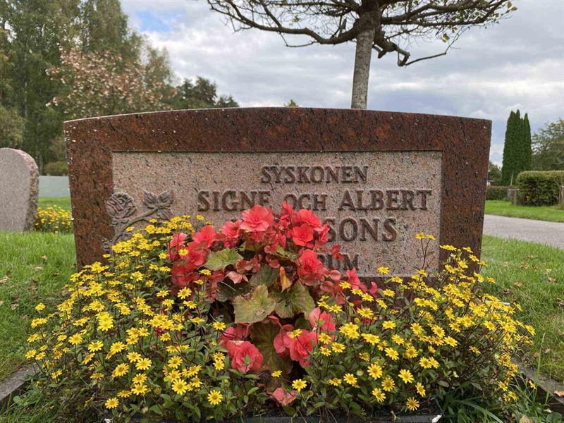 Grave number: 1 19    203, 204