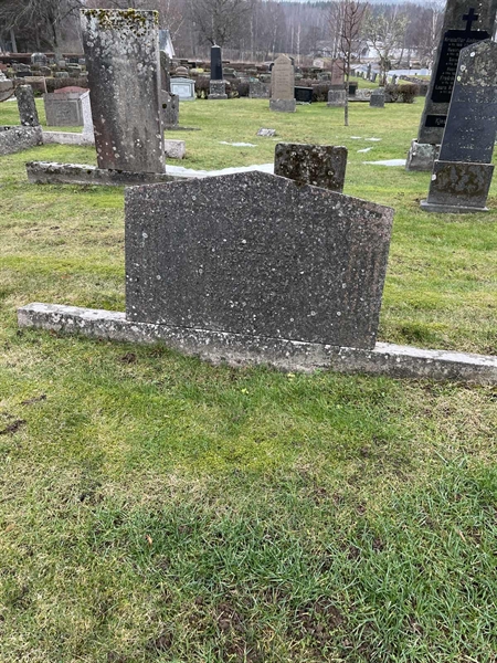 Hautatunnus: Vårv Kv3 41+42