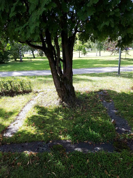 Gravnummer: GK F 4   352