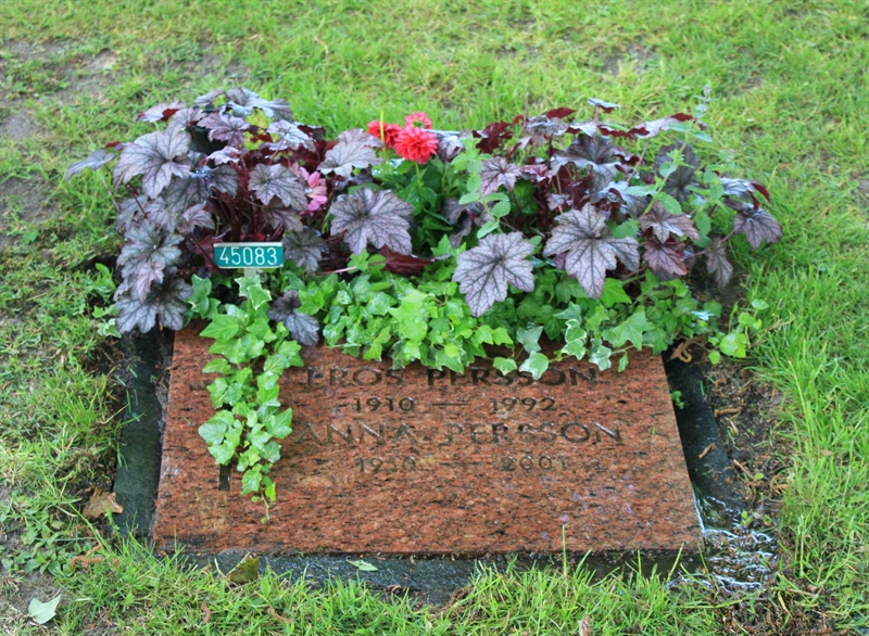 Grave number: Ö 45    83