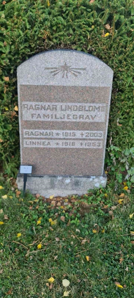 Grave number: M G    1, 2