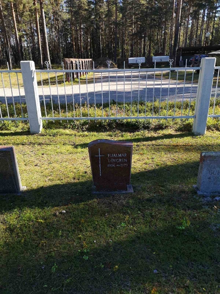 Hautatunnus: VLM 02    11:1