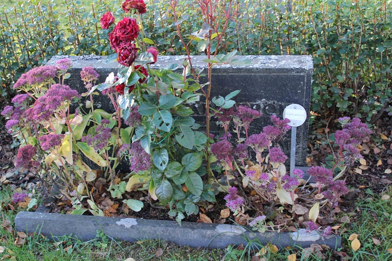 Grave number: A L  673