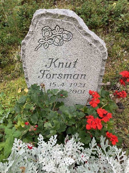 Hautatunnus: SK E     5