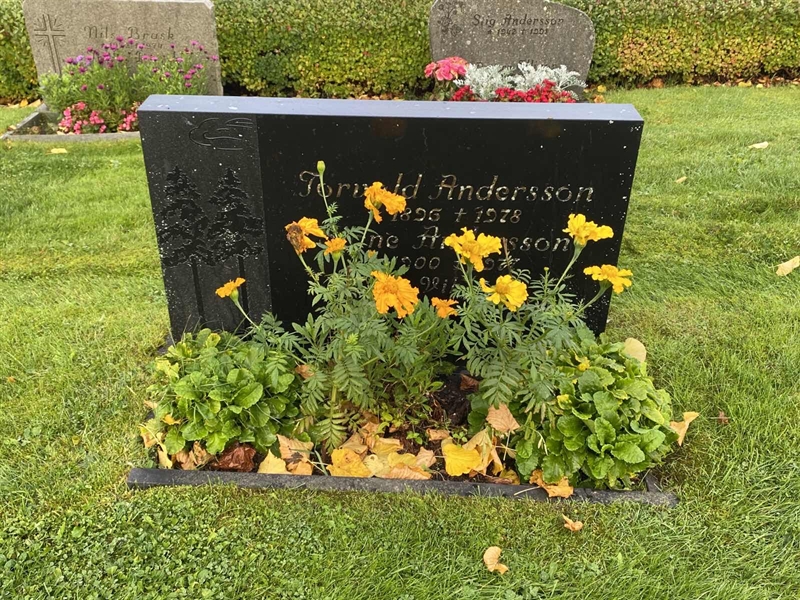 Grave number: 4 Öv 17    87-88