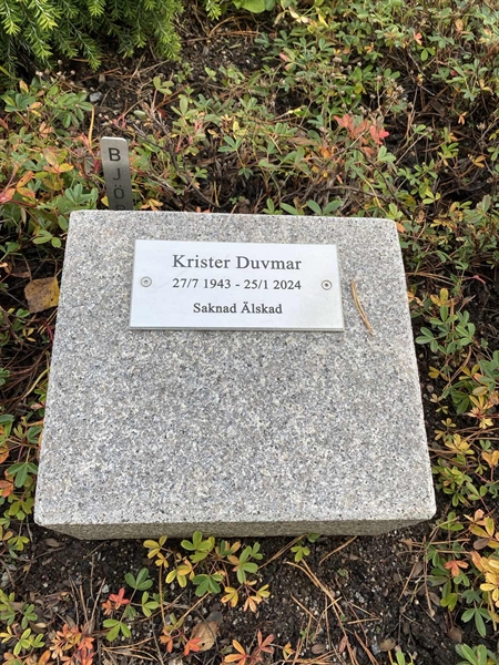 Gravnummer: 2 B    13