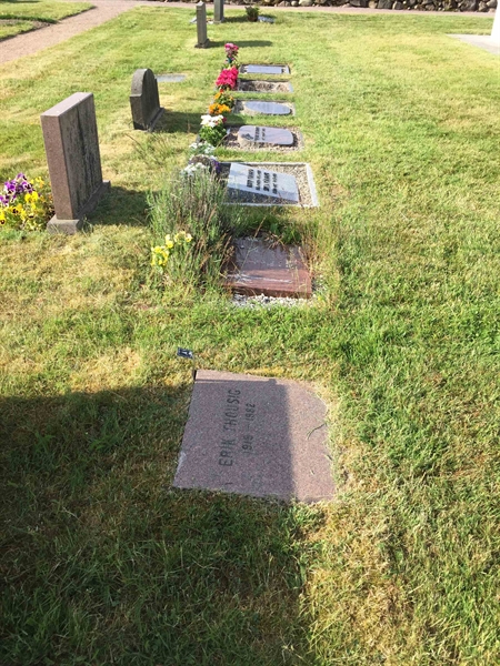 Grave number: ÖKK 5    50