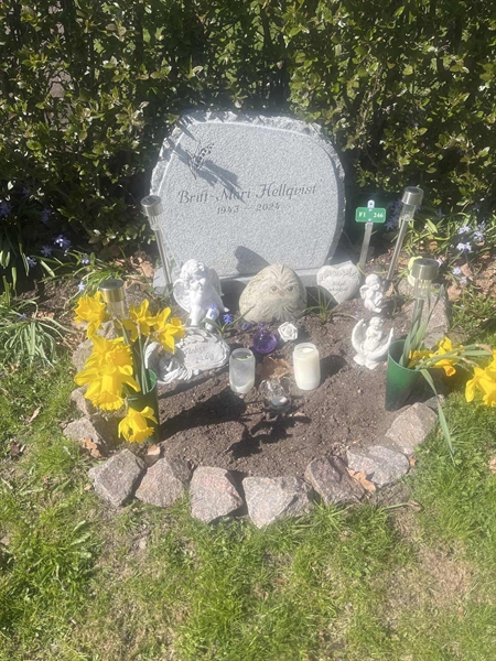 Grave number: 1 3 F1 246