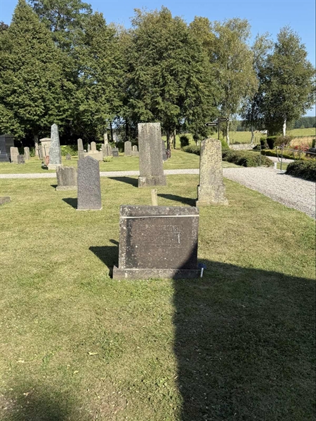 Hautatunnus: AN 8    13
