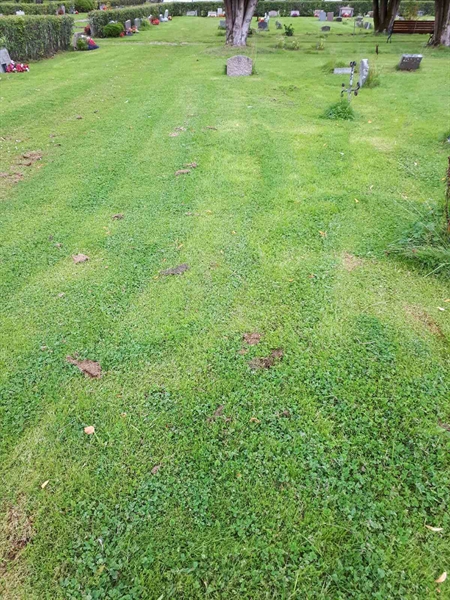 Gravnummer: NK A A     3