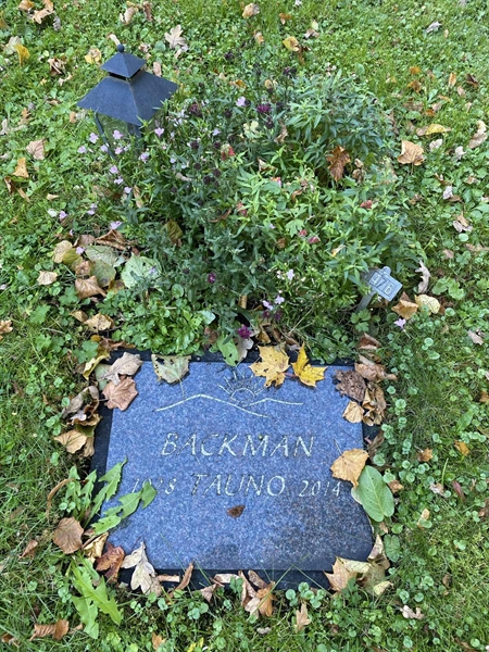 Gravnummer: 1 H   476