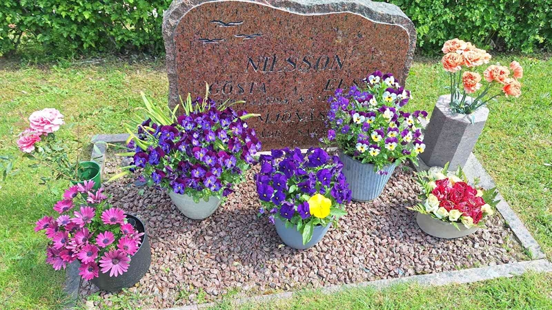 Grave number: VG D   245-246