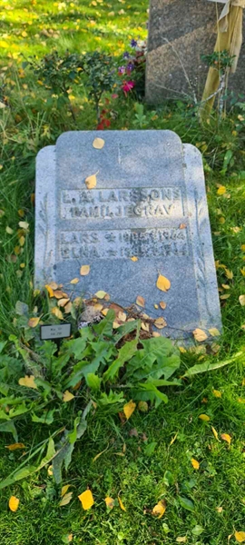 Grave number: M D   19, 20