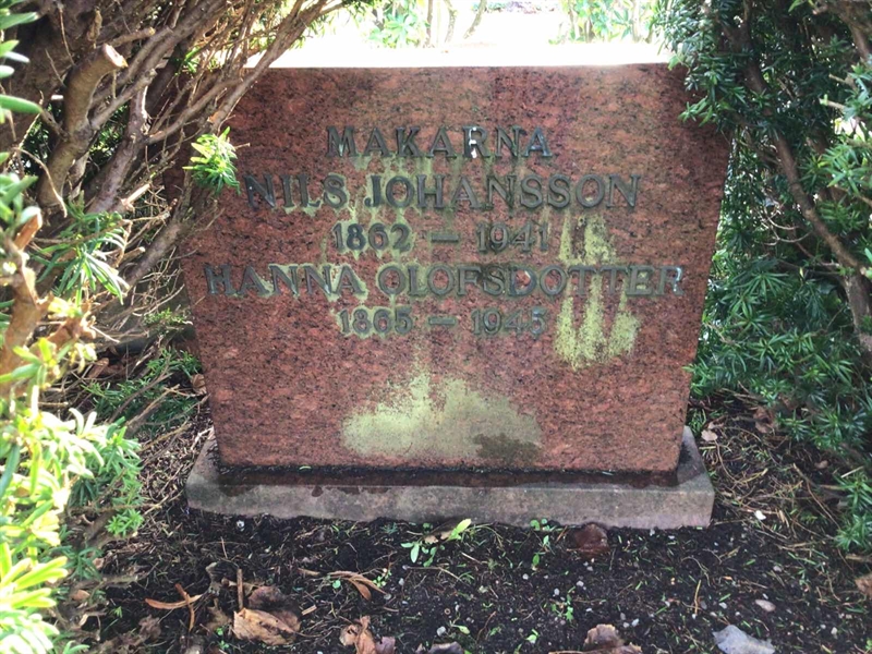 Grave number: LM 3 19  018
