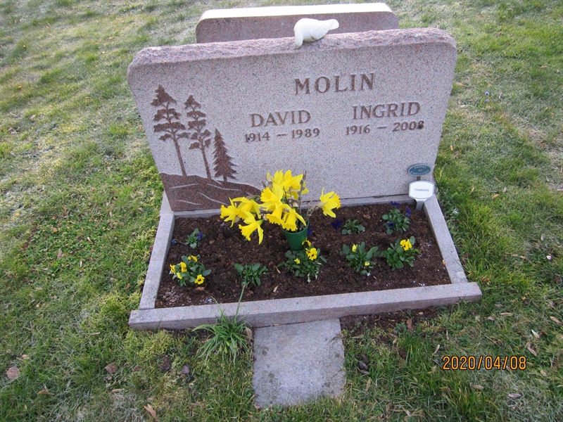 Grave number: 02 I   29