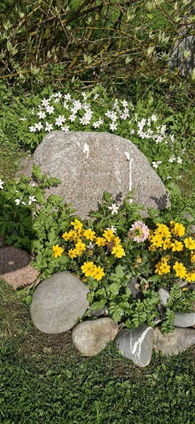Hautatunnus: 2 HÄGGE 104