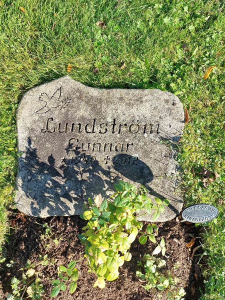 Hautatunnus: 1 L   057