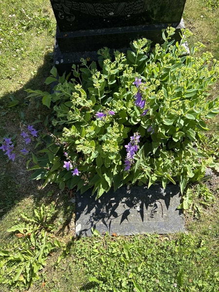 Grave number: 2 G  594-595